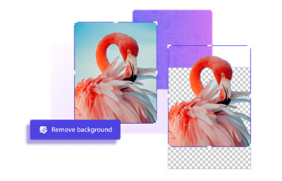 Slika, ki prikazuje orodje, ki odstrani ozadje s fotografije flaminga.