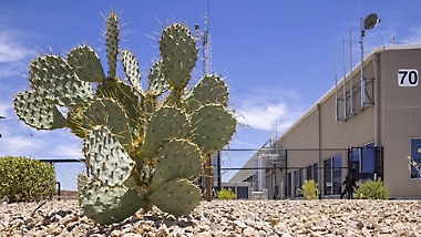 Un cactus fuera del nuevo centro de datos de Arizona.