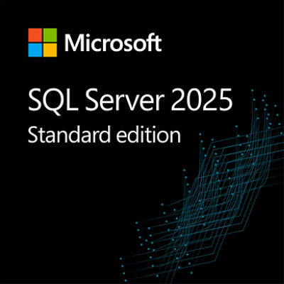 SQL Server 2025 Standard Edition Perpetual 1 Server License plus 10 CALs