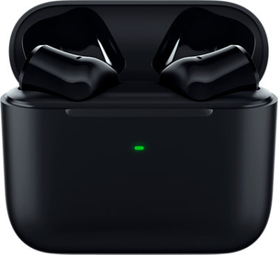 Front view of the case for the Razer Hammerhead True Wireless X Earbuds in Black.