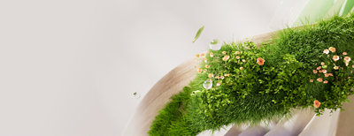 תקריב של משטח ירוק ועשבוני עם פרחים קטנים וטיפות טל.