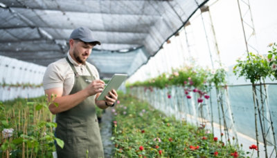 A man in an apron is using a tablet in a greenhouse.