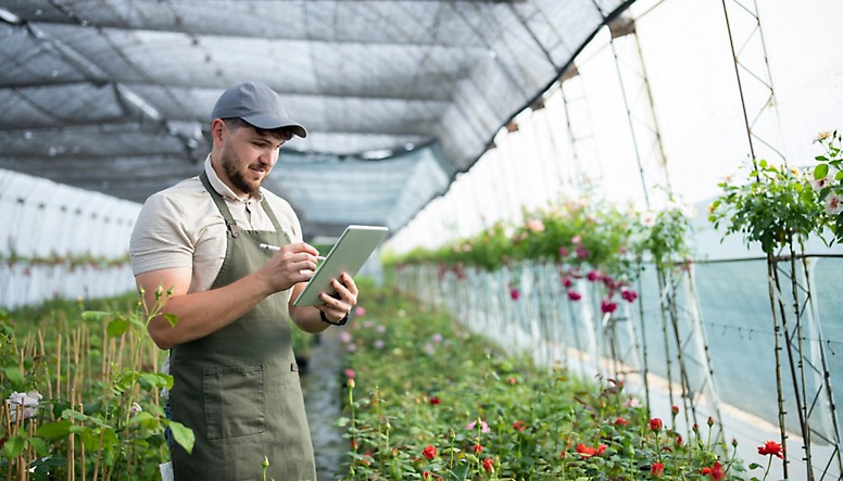A man in an apron is using a tablet in a greenhouse.