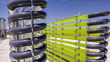 Un grande sistema di cattura del carbonio verde.