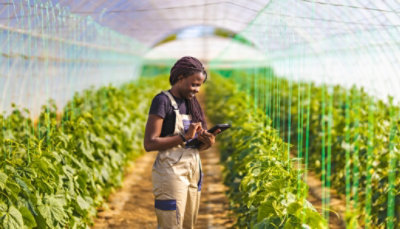 A woman in overalls is looking at her phone in a greenhouse.