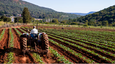 A person driving a tractor through a farm