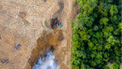 An aerial view of a large field next to a forest.