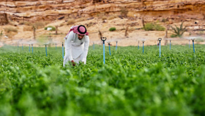 A man is working in a field in the desert.