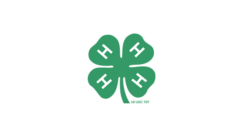 National 4-H Council logo