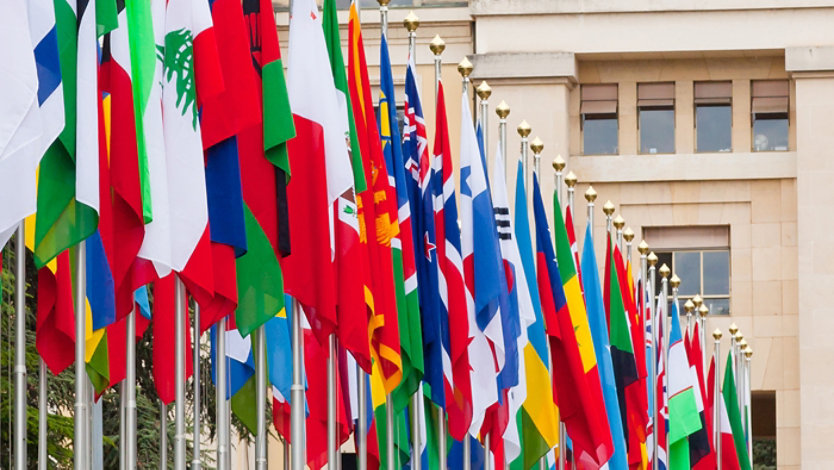 A row of international flags displayed outside a government building.