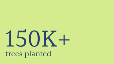 More than 150,000 trees planted.