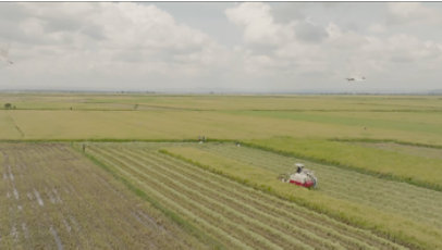 Aerial view of farming equipment progressing down a row of crops.