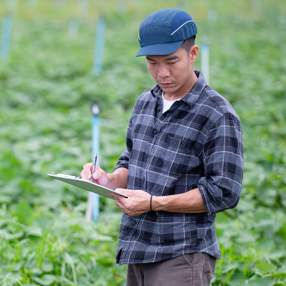 A man standing in a field of green crops takes notes on a tablet device.