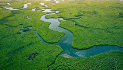 Aerial view of a winding waterway surrounded by a lush green landscape.
