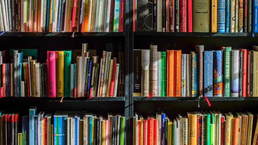 Sunlit bookshelf filled with colorful books neatly arranged on dark shelves.