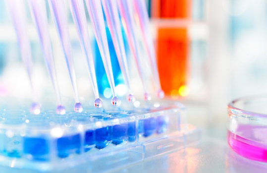 Multichannel pipette injecting liquid into a microtiter plate.