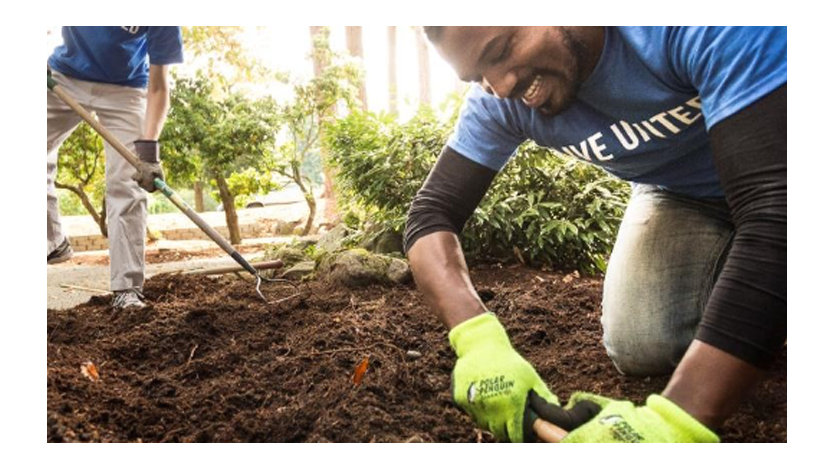 Two volunteers planting a bush outdoors