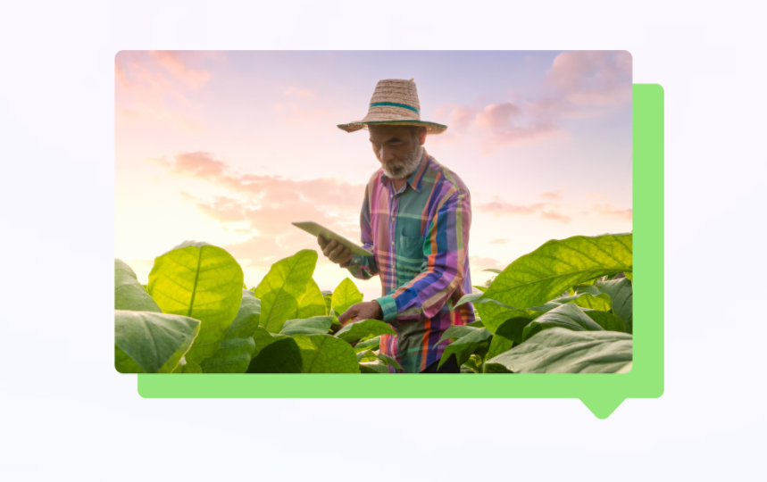 A rural farmer holding a tablet inspecting crops.