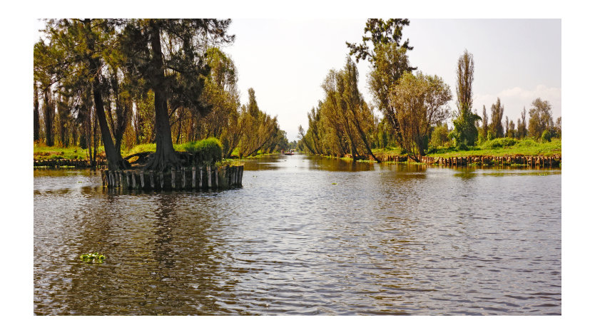 The chinampas or artificial islands in Mexico.