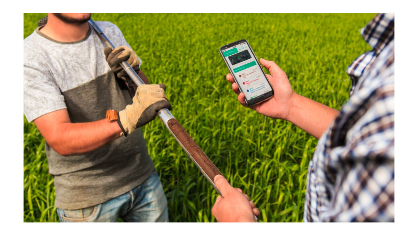 Farmers using a mobile app to help measure soil moisture.
