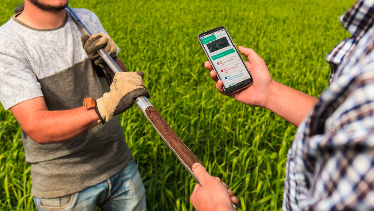 Farmers using a mobile app to help measure soil moisture.