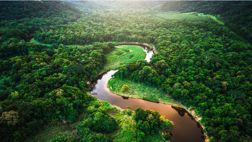 Aerial view of a winding river snaking through a dense, vibrant green rainforest.