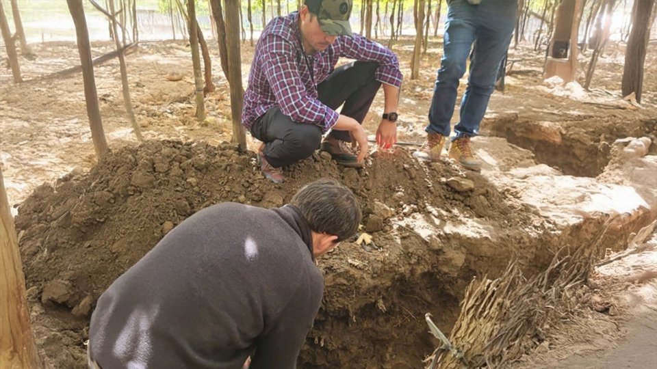 Two men inspect a freshly dug pit among trees, crouching and working in the soil.