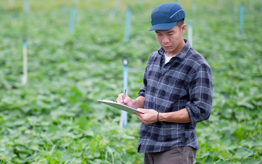 A man standing in a field of green crops taking notes on a tablet device. 