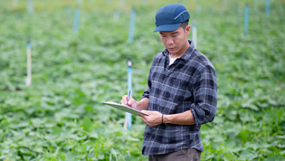 A man standing in a field of green crops taking notes on a tablet device.