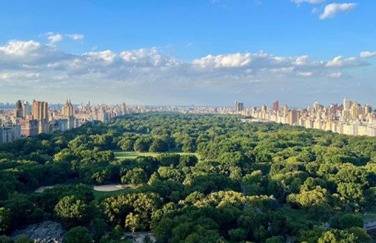 Vast view of Central Park in New York City on a sunny day with blue skies and clouds, with buildings surrounding Central Park on the perimeter.