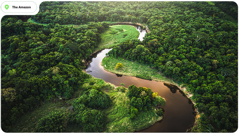 A river through the Amazon rainforest.