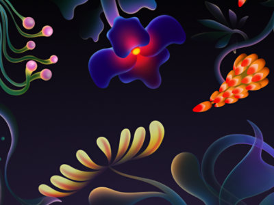 A vivid arrangement of uniquely colored flowers blooming against a dark background.