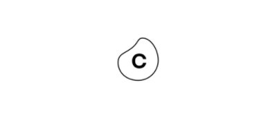 Celonis logo