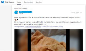 Sharing the ideas, experiences, and much more