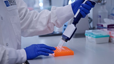 Scientist wearing blue gloves uses a multichannel pipette to transfer liquid samples into a laboratory microplate.