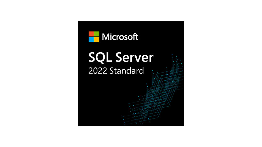 Ein Windows SQL Server Logo