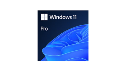 Windows 11 Professionnel.