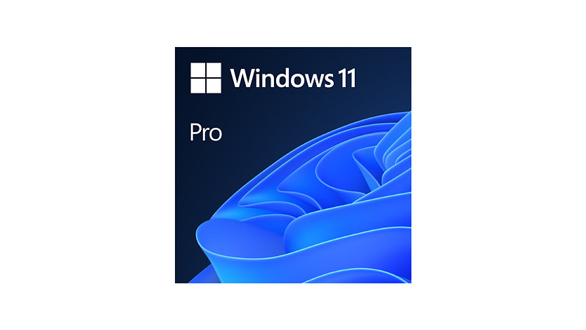 Windows 11 Pro.