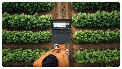 En person bruker en Surface-enhet ute i en hage og demonstrerer enhetens mulighet til å koble til nettet hvor som helst. 