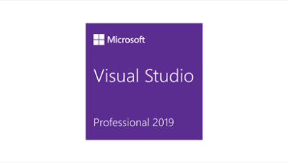 Visual Studio  Professional 2019 logo