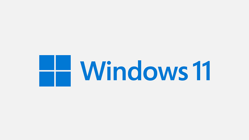 Windows 11 logo