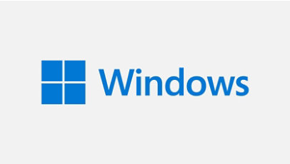 Windows Pro 11 Logo 