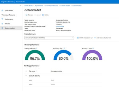 An overview of a Custom Model in Vision Studio