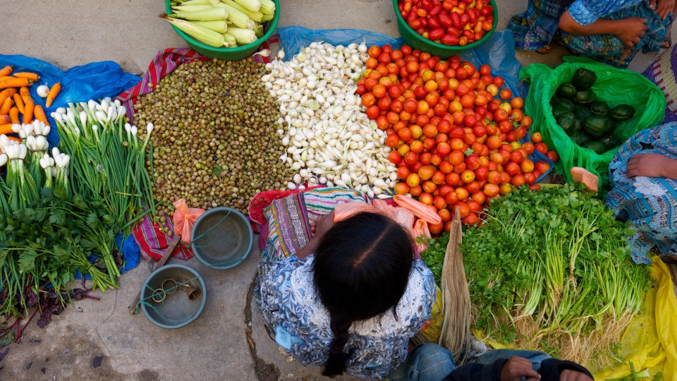 Person sitting on the ground, surrounded by piles of vegetables.