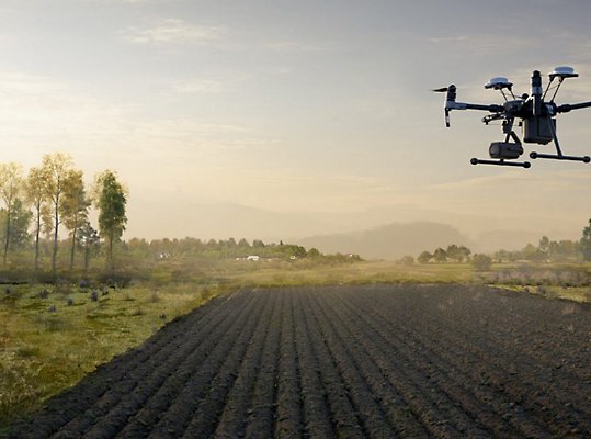Agricultural field with a drone flying overhead