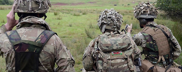 Three soldiers in camouflage gear standing in a field, facing away from the camera, observing the landscape.