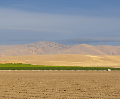 A field with a green plant in the distance and mountains