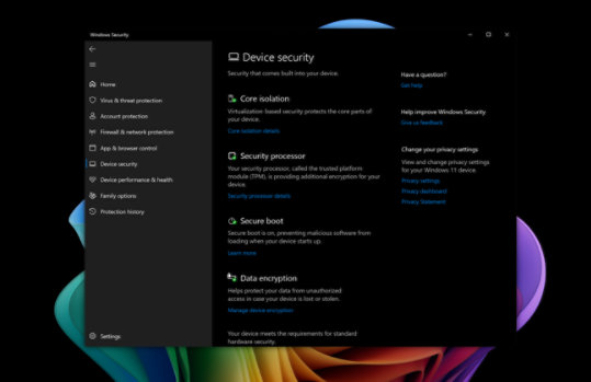 A close-up of a Windows 11 Pro security menu on a Surface device.