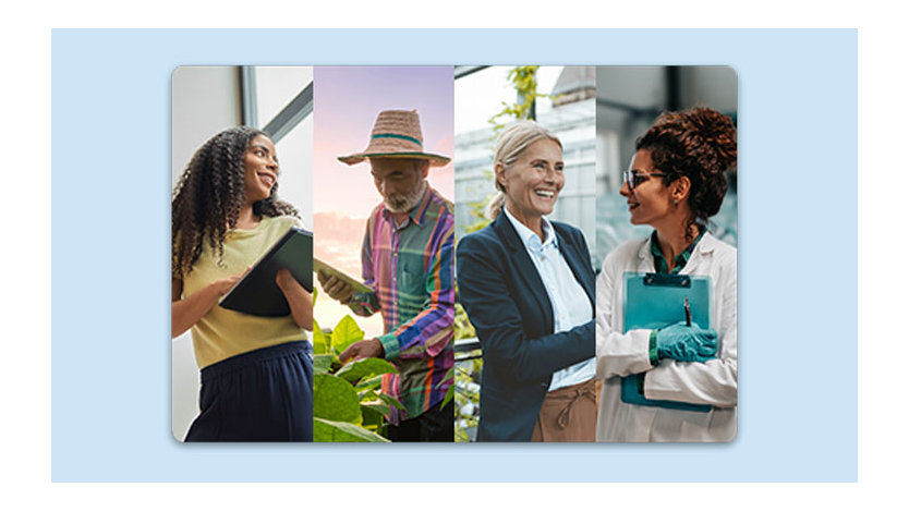 Un homme et une femme assis à une table, travaillant ensemble sur un ordinateur portable.