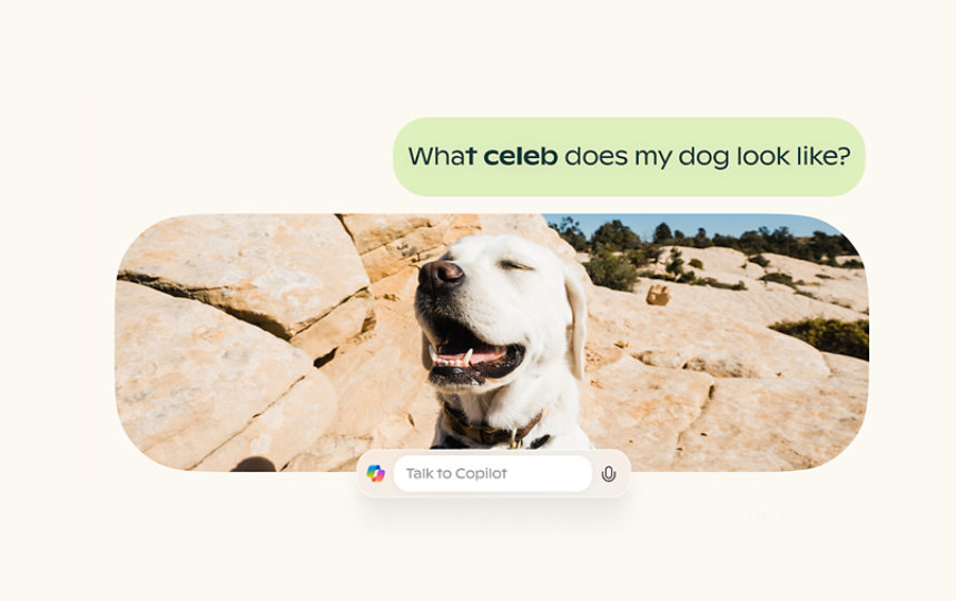 A picture of a dog with a pop up bubble saying Talk to Copilot and asking What celeb does my dog look like?